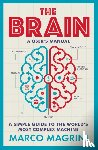 Magrini, Marco - The Brain: A User's Manual