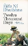 Dhuibhne, Eilis Ni - Twelve Thousand Days