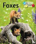 Atkins Jill - Foxes