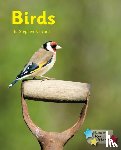 Rickard Stephen - Birds