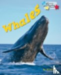 Atkins Jill - Whales