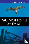 Chapman Mary - Gunshots At Dawn (Sharp Shades)
