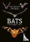 Taylor, Marianne - Bats