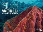 Isley, Jason - Small Blue World