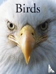 Christiansen, Per, Hammond, Paula - Birds