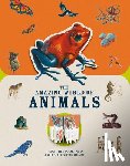 Butterfield, Moira - Paperscapes: The Amazing World of Animals: Turn This Book Into a Wildlife Work of Art
