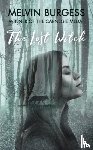 Burgess, Melvin - The Lost Witch