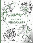 warner brothers - Harry Potter Magical Creatures Colouring Book