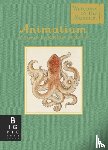 Broom, Jenny - Animalium (Mini Gift Edition)