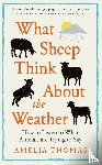Thomas, Amelia - What Sheep Think About the Weather