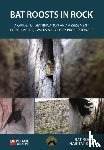 Bat Rock Habitat Key - Bat Roosts in Rock