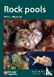 Hayward, Peter J. - Rock pools