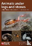 Wheater, C. Philip, Read, Helen J., Wheater, Charlotte E. - Animals under logs and stones
