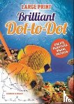 McDonald, Georgina - Large Print Dot to Dot Brilliant