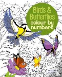 Storino, Sara (Illustrator), Olbey, Arpad (Illustrator) - Birds & Butterflies Colour by Numbers