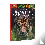 Leach, Dr Michael, Lland, Dr Meriel - Children's Encyclopedia of Animals