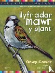Gower, Onwy - Llyfr Adar Mawr y Plant