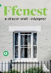 Amrywiol - Cyfres Amdani: Ffenest a Straeon Eraill i Ddysgwyr