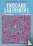 Aagaard, Jacob - Endgame Labyrinths