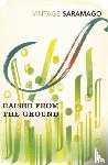 Saramago, Jose - Raised from the Ground