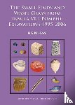 Cool, H.E.M. (Director - The Small Finds and Vessel Glass from Insula VI.1 Pompeii: Excavations 1995-2006