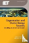 Rosen, Marc A. (Professor, Koohi-Fayegh, Seama (Post-doctoral Fellow - Cogeneration and District Energy Systems