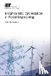 Radosavljevic, Jordan (Professor of Power Engineering - Metaheuristic Optimization in Power Engineering