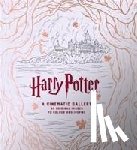 Dragunas, J. M. - Harry Potter A Cinematic Gallery
