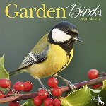Avonside Publishing Ltd - Garden Birds Calendar 2020