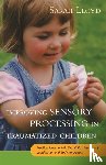 Lloyd, Sarah - Improving Sensory Processing in Traumatized Children