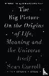 Carroll, Sean - The Big Picture