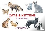 George, Marcel - Cats & Kittens: A Memory Game