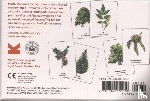 Tony Kirkham (Auteur) & Holly Exley (Illustrations) - Match a Leaf A Tree Memory Game:A Tree Memory Game