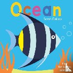 Dellow, Sarah - Now you See It! Ocean