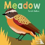 Dellow, Sarah - Now you See It! Meadow