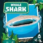 Twiddy, Robin - Whale Shark
