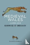 Stephenson, David - Medieval Wales c.1050-1332
