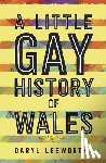 Leeworthy, Daryl - A Little Gay History of Wales