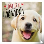 Ellis, Charlie - Love is a Labrador