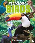  - Factology: Birds