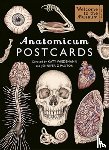 Paxton, Jennifer Z - Anatomicum Postcard Box