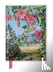 Flame Tree Studio - Kew Gardens' Marianne North: View in the Brisbane Botanic Garden (Foiled Journal)
