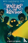 Aaronovitch, Ben, Cartmel, Andrew, Beroy, Jose Maria - Rivers of London: Stray Cat Blues