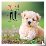 Ellis, Charlie - Love is a Pup