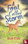 Peters, Helen - A Foal Called Storm