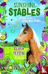 Tuffin, Olivia - Sunshine Stables: Amina and the Amazing Pony
