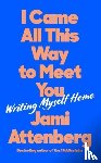 Attenberg, Jami - I Came All This Way to Meet You