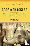 Iyer, Sangita - Gods in Shackles