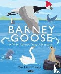 Treacy, Carol Ann - Barney Goose