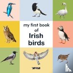  - My First Book of Irish Birds